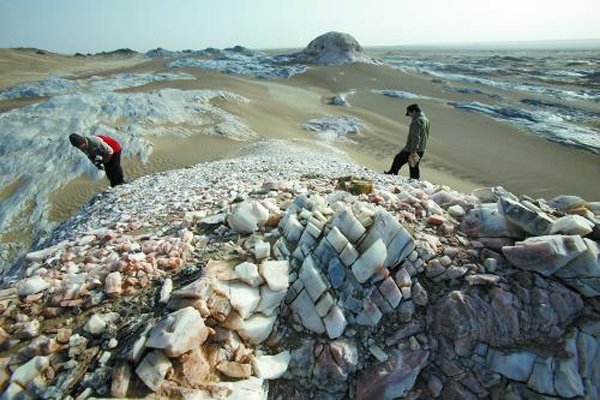 �޲���Ϊʲô�ǽ��� ��Ϊ�кܶ���ȥ��֮��ʬ���޴�