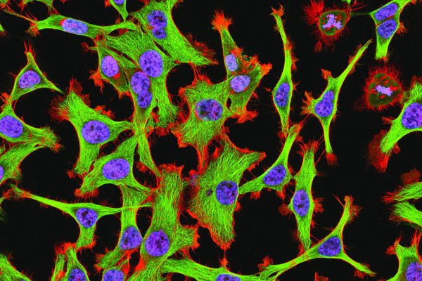 ����ϸ��Ϊʲô������ �����ֺ����õ���ʲô����