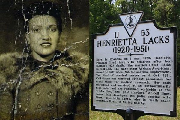 ����ϸ��Ϊʲô������ �����ֺ����õ���ʲô����