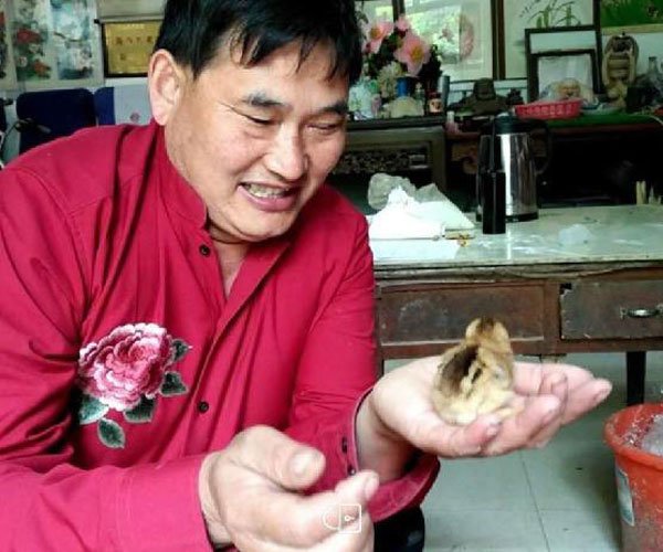 ���¸��������� ��ô��Ǯ����ũ��������ô���