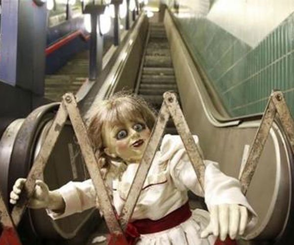 安娜的橱窗背后故事 为什么网友说太恐怖了