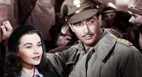 �������Ů������˭ ����������Ա��������