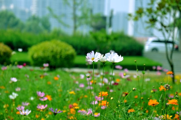 ��Ϊ�����ֻ�����ࣿ ��ΪMate 10��ʱ�ݼ��