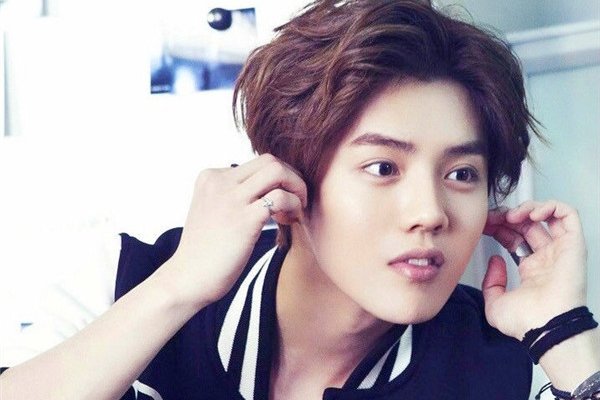 ¹�ϵĸ���¹�������˼�� ¹����ʲô���μ���