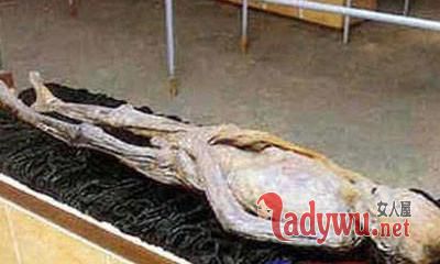 ������ʬ��ԭͼ���˲������� �������Ľ�����ֲ�ͬ�İ汾