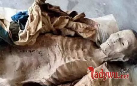 ������ʬ��ԭͼ���˲������� �������Ľ�����ֲ�ͬ�İ汾