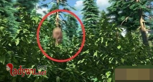 �ܳ�û��95��������Ƶ�е�ֲ� ��ͷǿ�°���ʧ���¼�