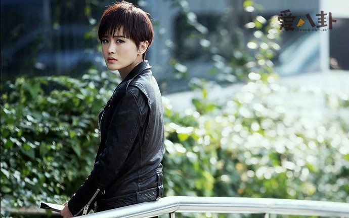 局中人苏静婉的真实身份 她有双重身份