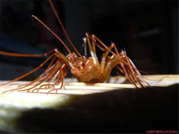 ������������6���� ���������Ļ�ɽ�����ж��