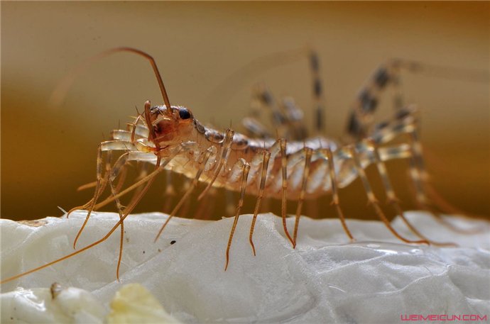 ������������6���� ���������Ļ�ɽ�����ж��