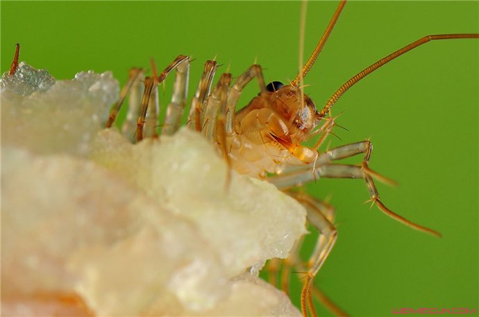 ������������6���� ���������Ļ�ɽ�����ж��