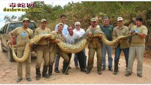 �ھ���ڳ������¼������Ǽ� �ڳ�16�׳������������