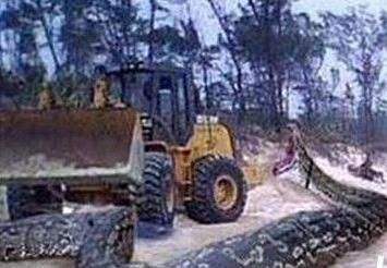 �ھ���ڳ������¼������Ǽ� �ڳ�16�׳������������