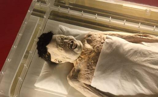 ������Ůʬ�ճ�����Ƭ �����Ѻ�Ĺ��׷����Ϊʲô������