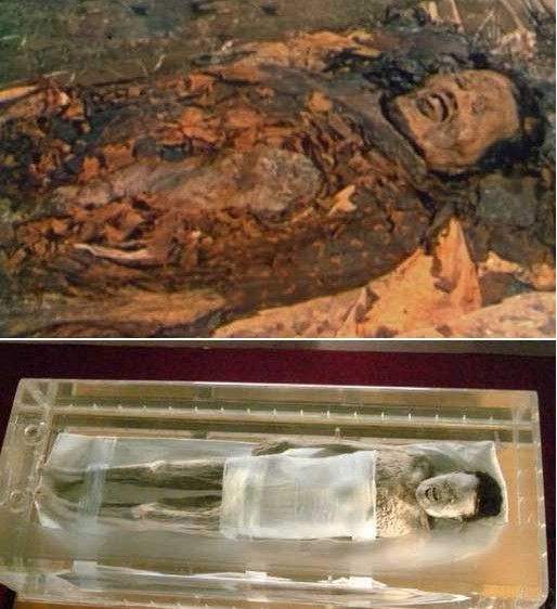 ������Ůʬ�ճ�����Ƭ �����Ѻ�Ĺ��׷����Ϊʲô������