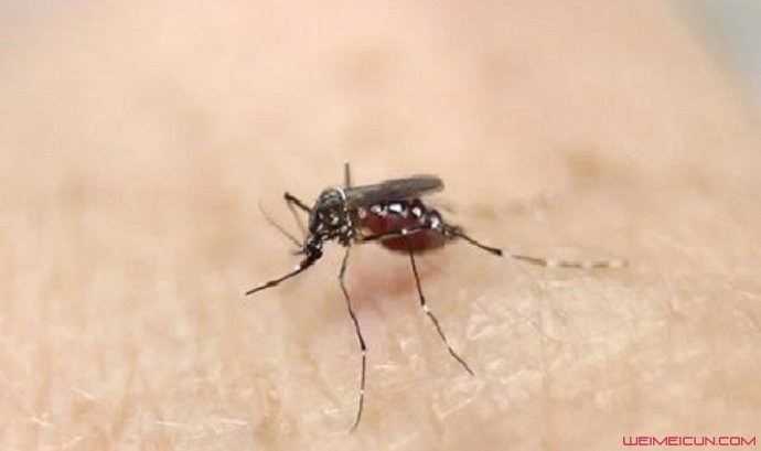 ����Ϊʲô��������� �����������������