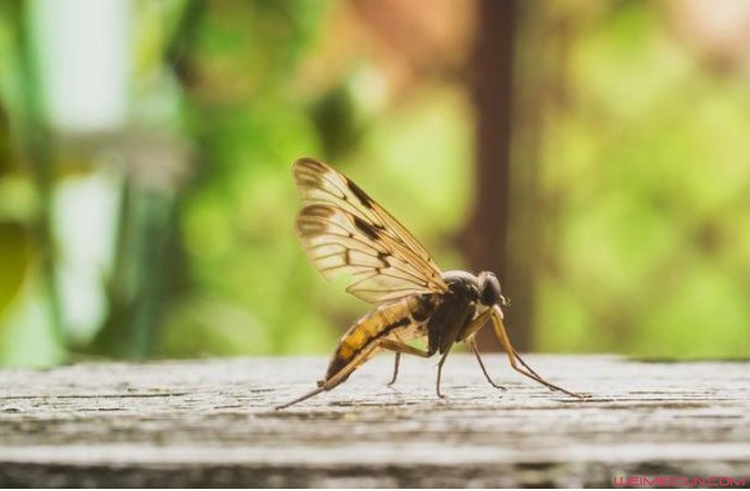 ����Ϊʲô��������� �����������������