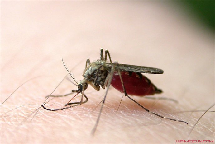 ����Ϊʲô��������� �����������������