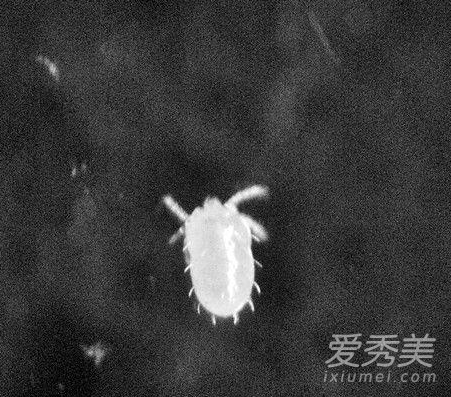 ������ҧ��ɥ�� �ոձ�����ҧ����ͼƬ