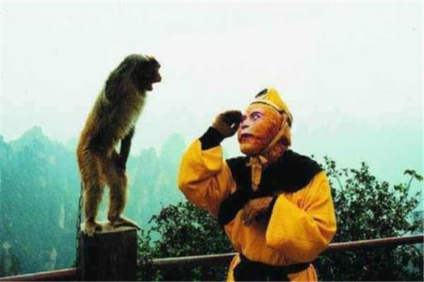 ��С��ͯʲôԭ���ߵ� ��С��ͯ�������˼���