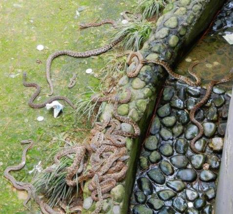 ǧ�����ߵ��������� Ϊʲô�ر����Ǹ�λ��