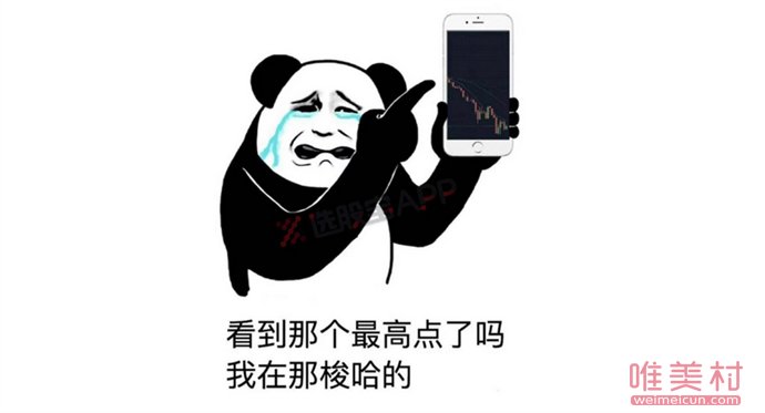 ���ʲô��˼ ���������ʲô��˼����ָʲô