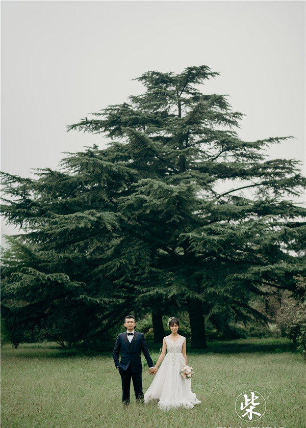 周放个人资料简介 周放老公刘畅是谁做什么的