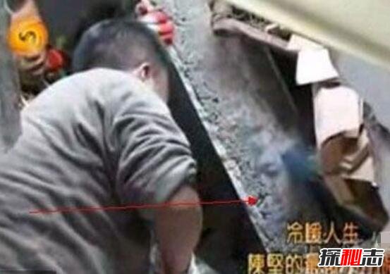 �¼��������ô���� �봨����������¼�