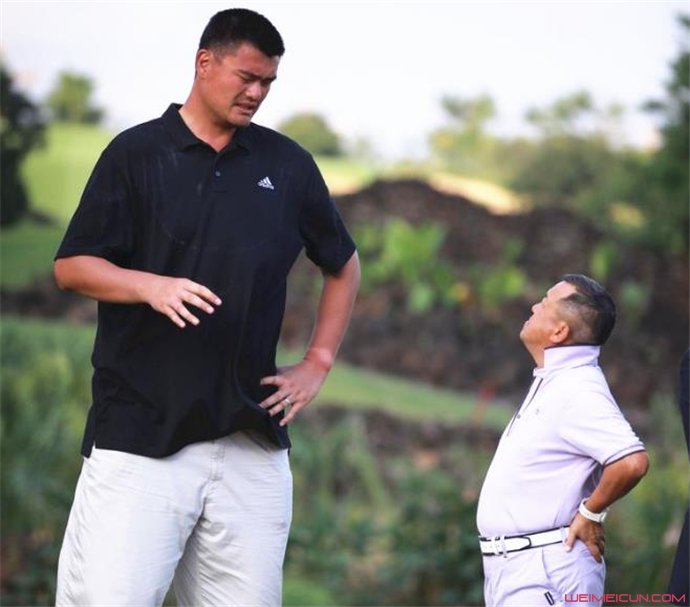 ��־ΰ���߶�� ���������鱨����������ʵ����