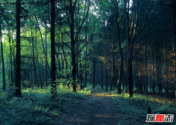 ����ǰ����򵥷��� ��λ���ǰ������ķ���