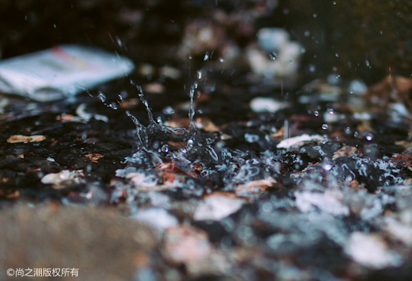 ���������Լ�һ���� ��������������������