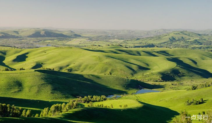 ��������������ǰʮ ��һ�ȵ�ʮ��ʮ��