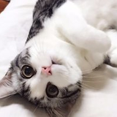 ��������ҽ�������� �����Ź�����èֱ��ǩԼ����