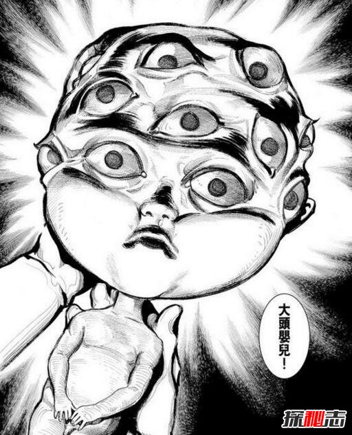 ��ͷ��Ӥ��ʵ�¼� ��ͷ��Ӥ�Թ�ĸ����������