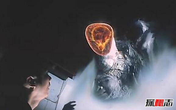 ��ͷ��Ӥ��ʵ�¼� ��ͷ��Ӥ�Թ�ĸ����������