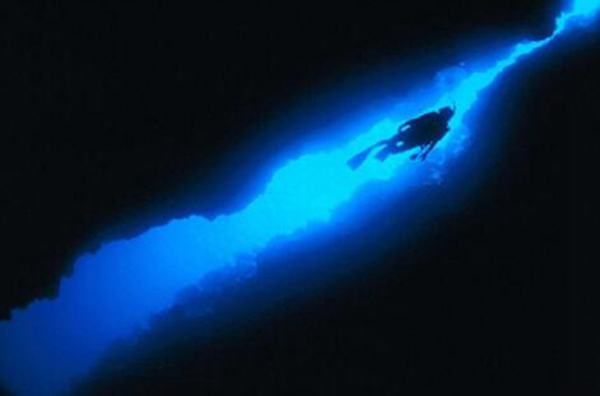 �������ɺ����ֲ����� ����10000��û������