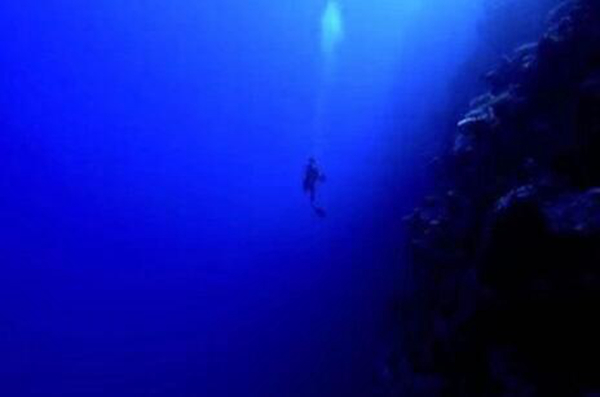 �������ɺ����ֲ����� ����10000��û������