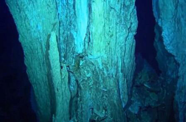 �������ɺ����ֲ����� ����10000��û������