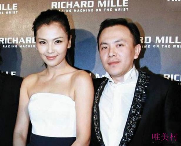 刘涛私人飞机照片 刘涛的飞机是自己的吗