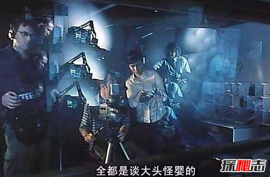 ��ͷ��Ӥ��ʵ�¼� ��ͷ��Ӥ�Թ�ĸ����������