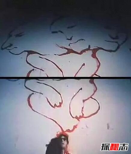 ��ͷ��Ӥ��ʵ�¼� ��ͷ��Ӥ�Թ�ĸ����������