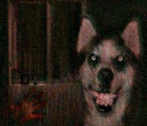 ΢Ц��ͼƬԭͼ�ֲ� smile.jpg΢Ц��Ϊʲô�ֲ�