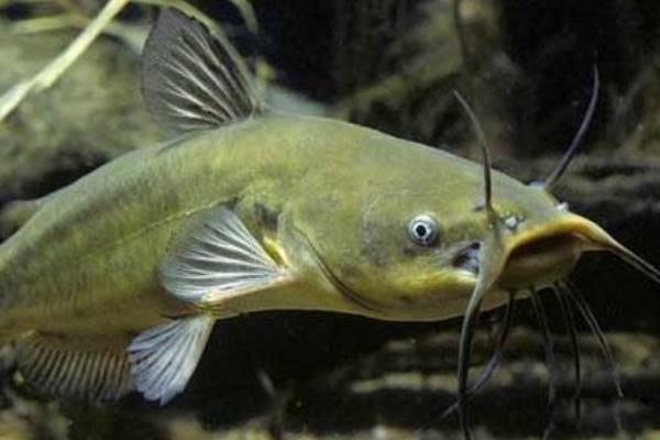 ���ϻ������������ ���ϻ���������һ������