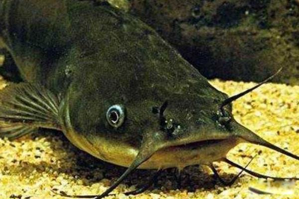 ���ϻ������������ ���ϻ���������һ������