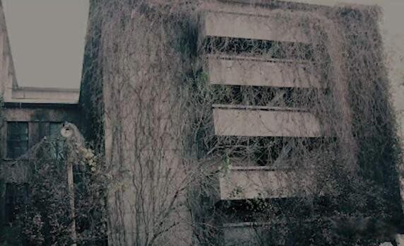 劲松鬼楼84年左右北京发生了件大事 劲松小区闹鬼具体位置在哪