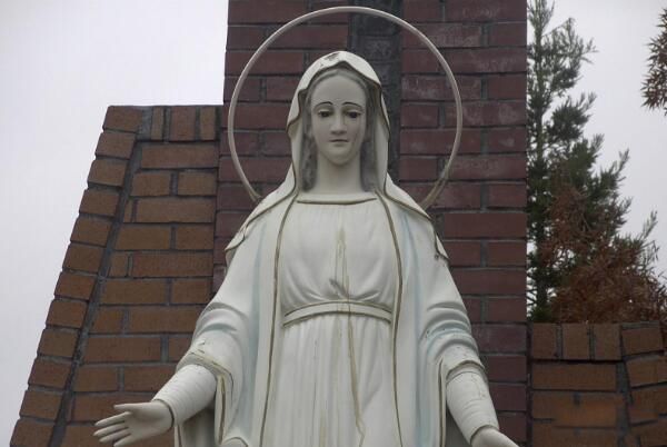 ʥĸѪ������ô����? ʥĸѪ�������¼��ı�������