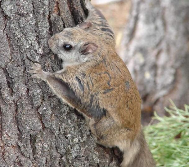 �����ɵĽ�ʲô ������ʲô���͵Ķ���