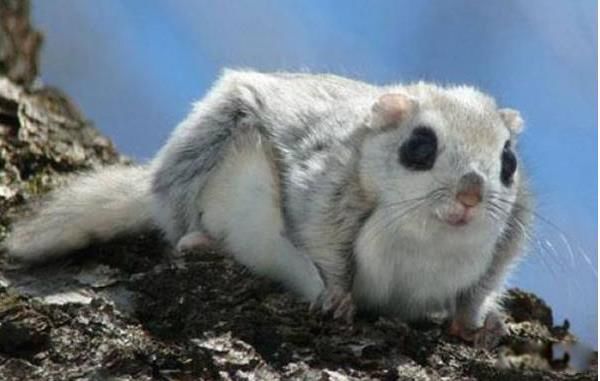 �����ɵĽ�ʲô ������ʲô���͵Ķ���