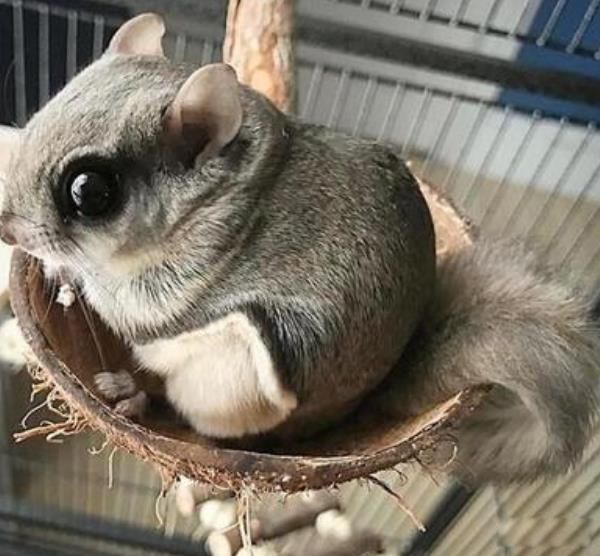 �����ɵĽ�ʲô ������ʲô���͵Ķ���