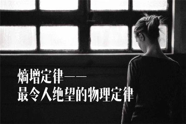 ��������ʲô��˼ ��ߵĶ����ǲ������е�